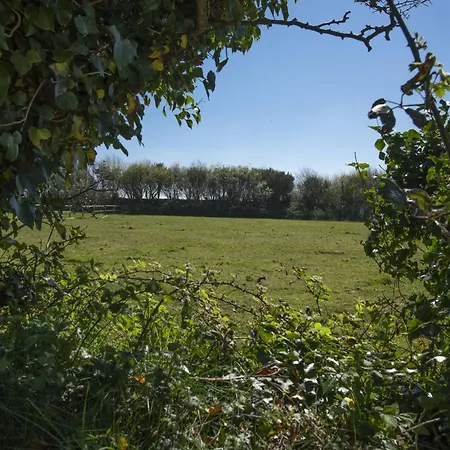 Ivy Chimney Near Scorrier And Close To Holiday home